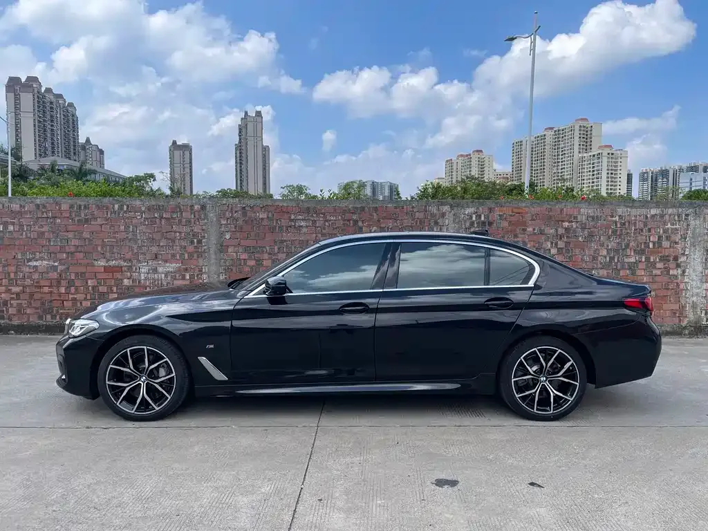 BMW 5 Series 2021 из CN, фото 3