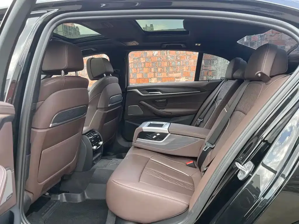 BMW 5 Series 2021 из CN, фото 4