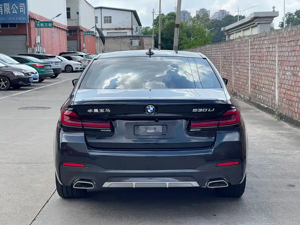 BMW 5 Series 2021 из CN, фото 5