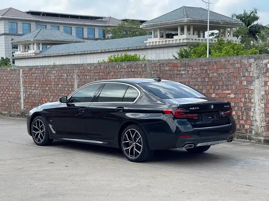 BMW 5 Series 2021 из CN, фото 8