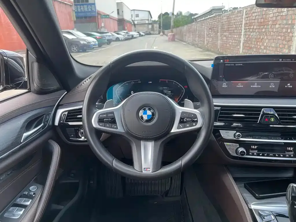 BMW 5 Series 2021 из CN, фото 9