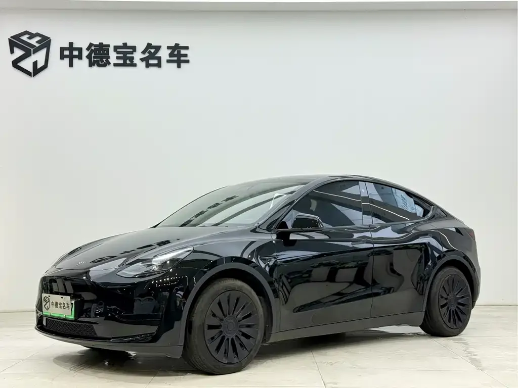 Tesla Model Y — фото 1
