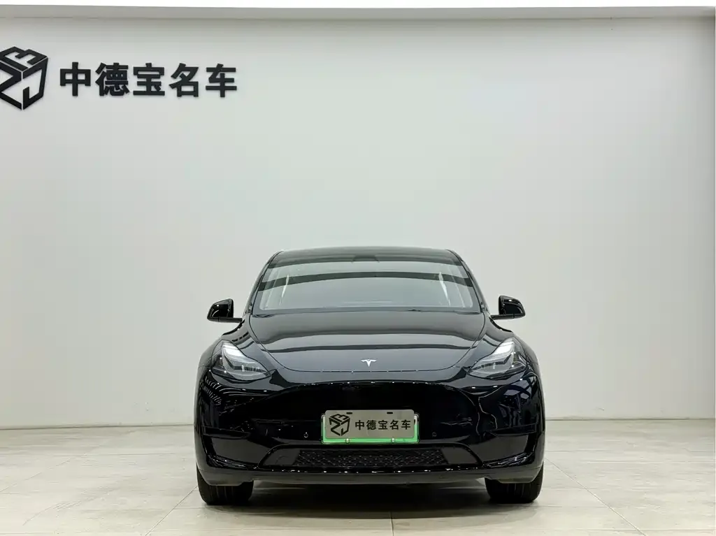 Tesla Model Y — фото 2