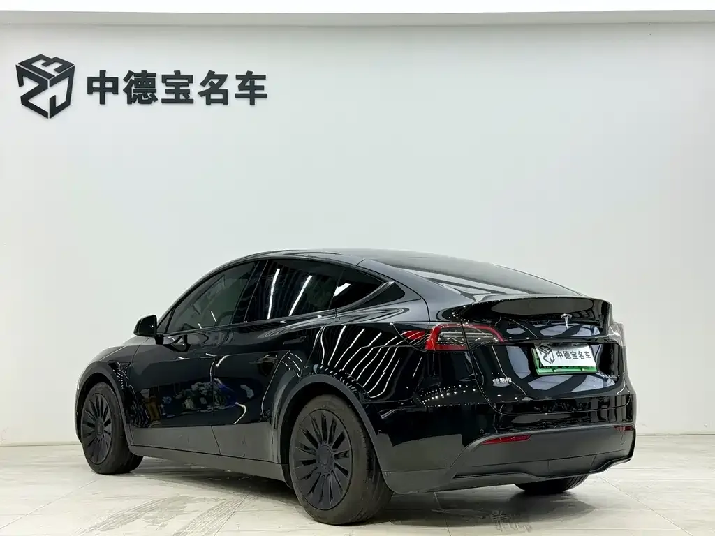 Tesla Model Y — фото 4