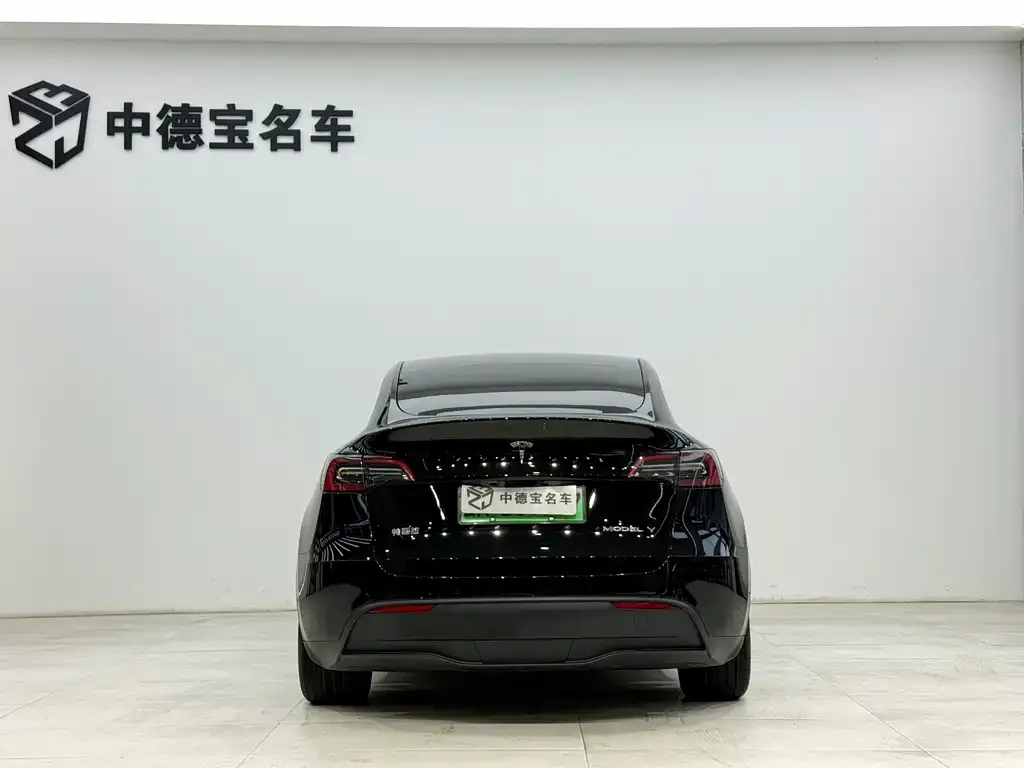 Tesla Model Y — фото 5