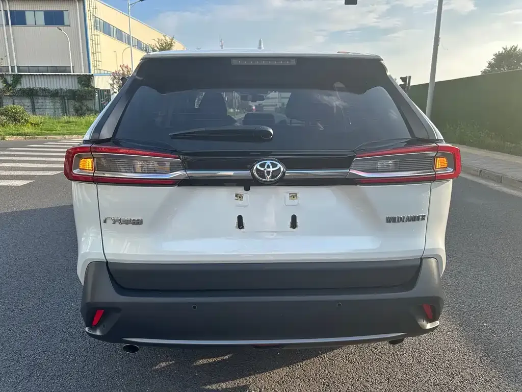 Toyota Wildlander 2023 из CN, фото 5