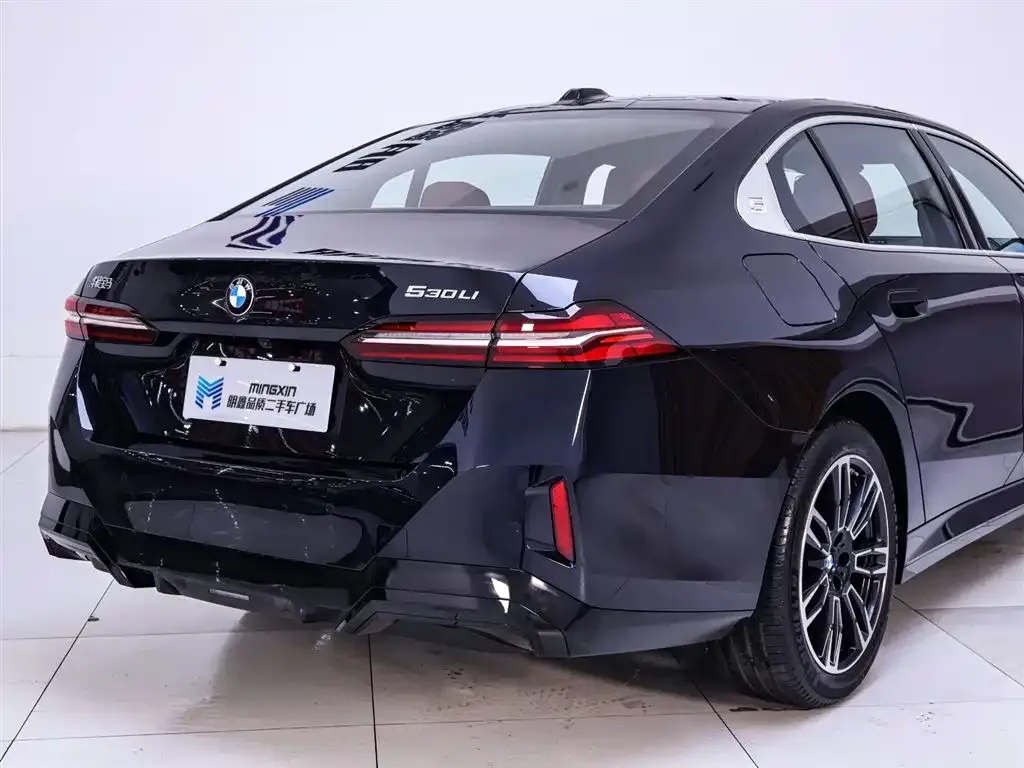 BMW 5 Series 2025 из CN, фото 8