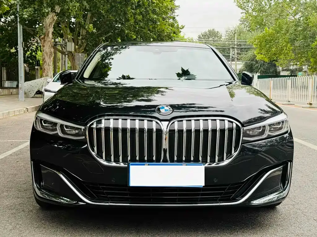 BMW 7 Series 2021 из CN, фото 2