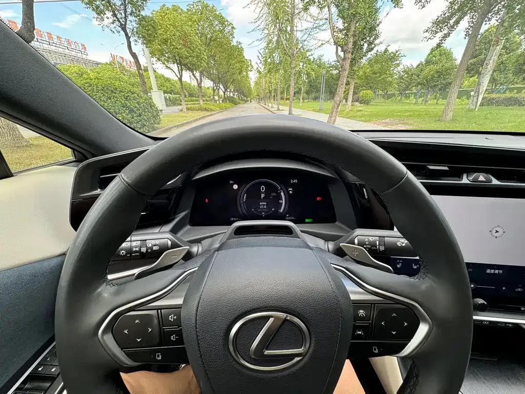 Lexus RZ 2023 из CN, фото 10