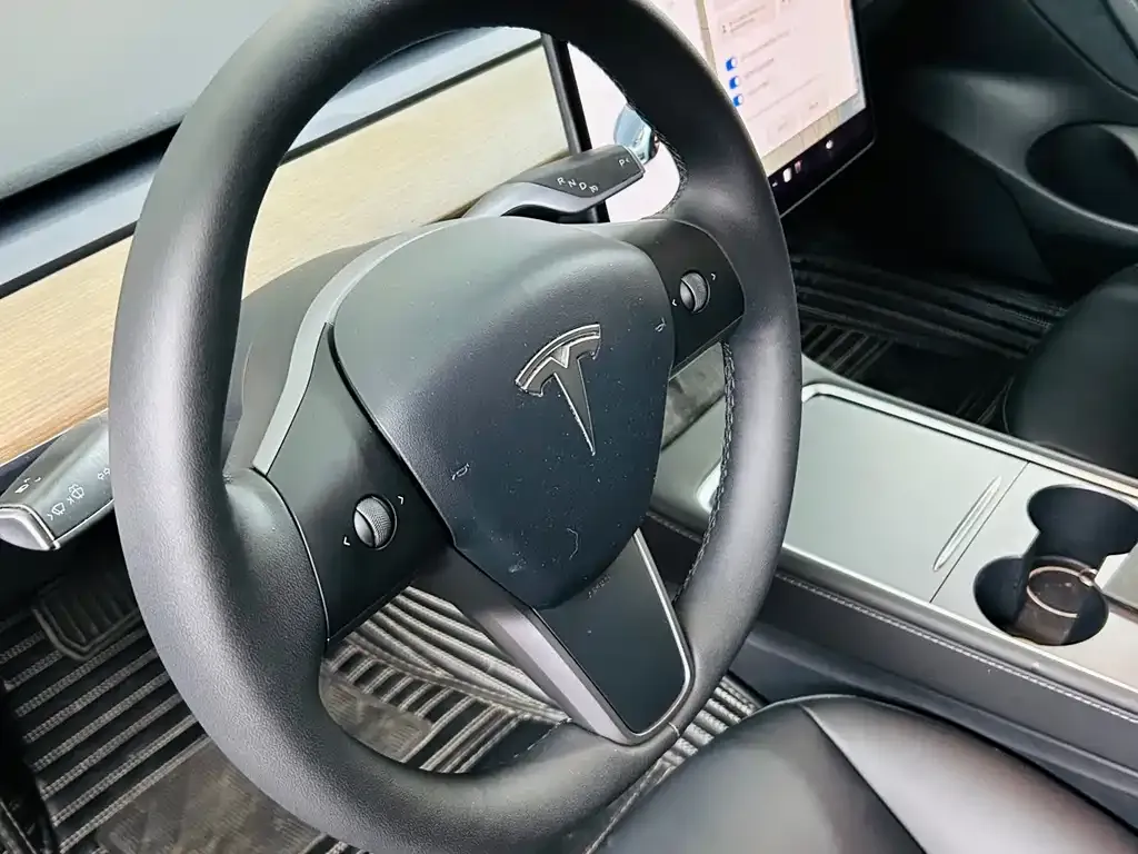 Tesla Model 3 2021 из CN, фото 10