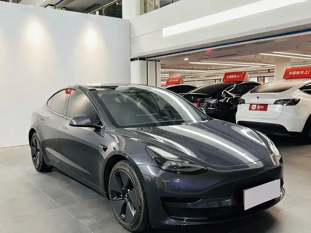 Tesla Model 3 2021 из CN, фото 2