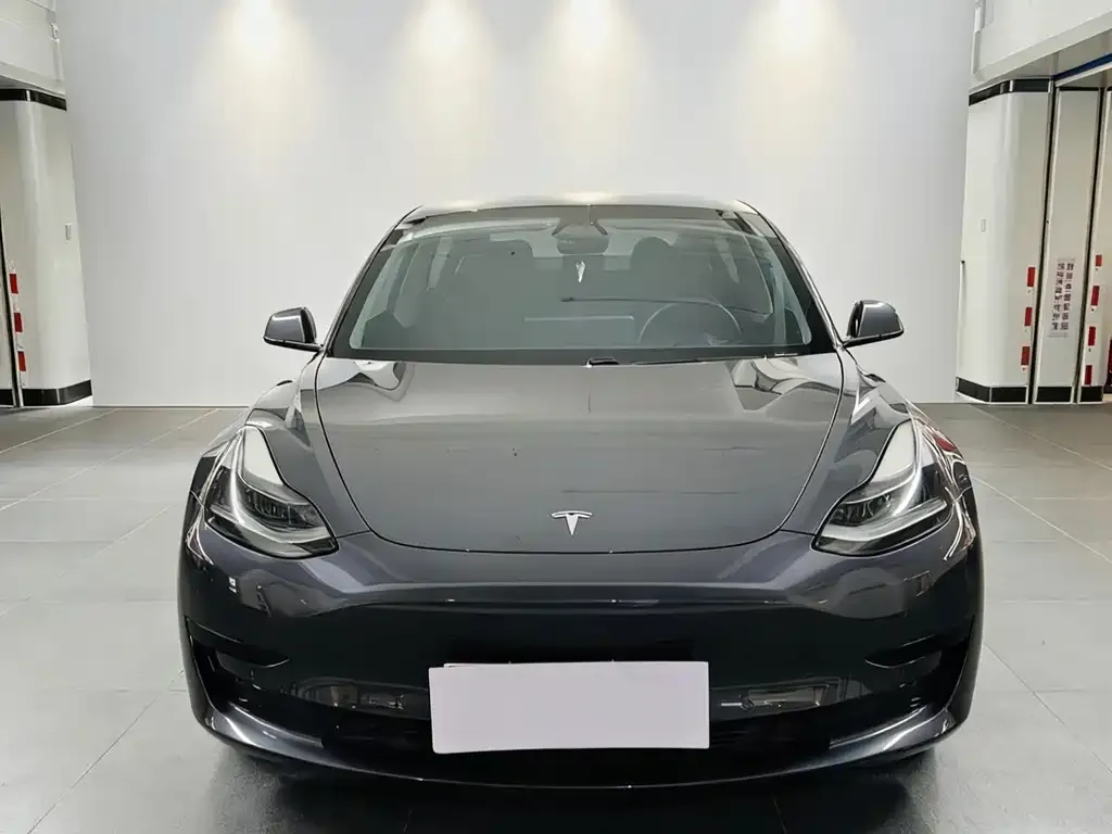 Tesla Model 3 2021 из CN, фото 3