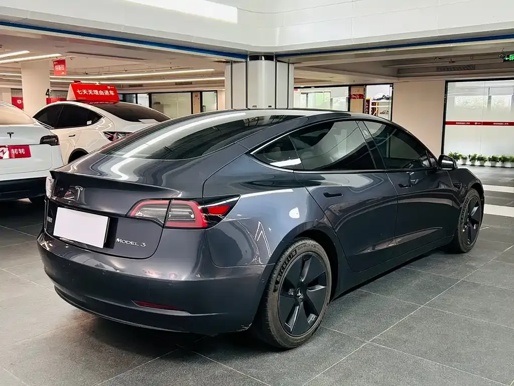 Tesla Model 3 2021 из CN, фото 5