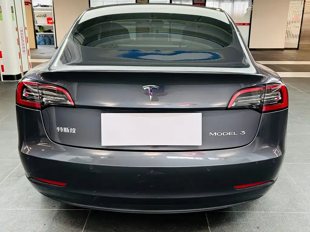 Tesla Model 3 2021 из CN, фото 6