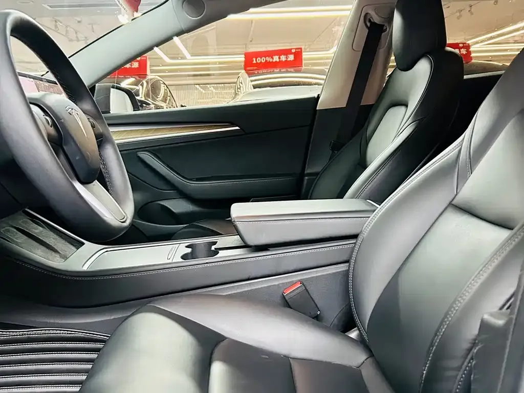 Tesla Model 3 2021 из CN, фото 9