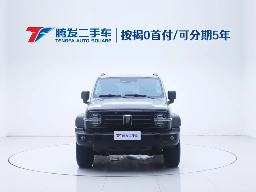 [object Object] Tank 300 2024 из CN, фото 2