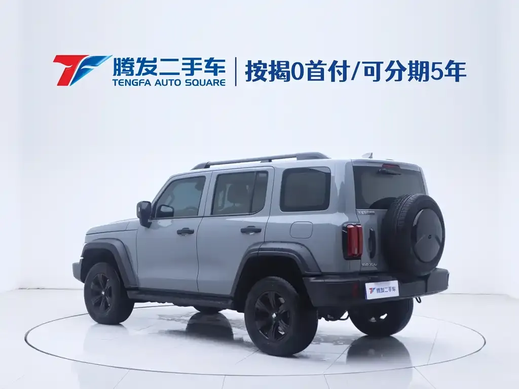 [object Object] Tank 300 2024 из CN, фото 3