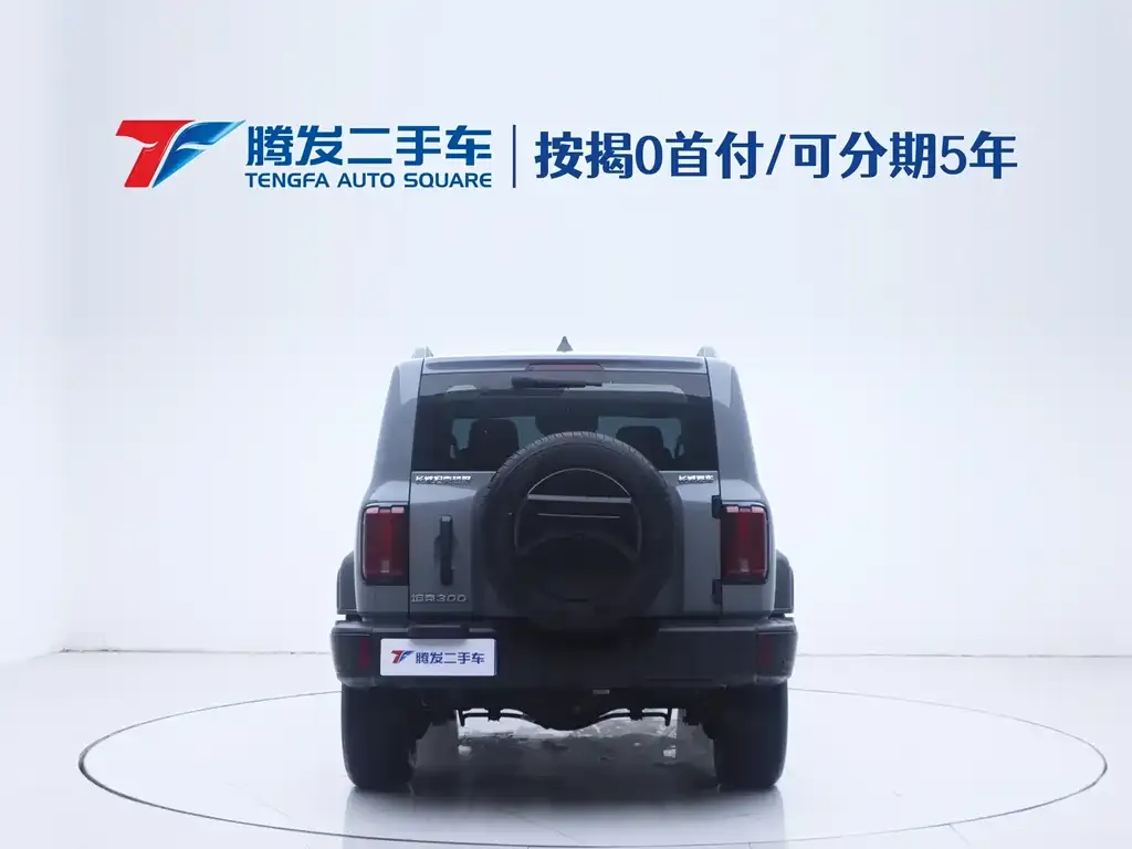 [object Object] Tank 300 2024 из CN, фото 4