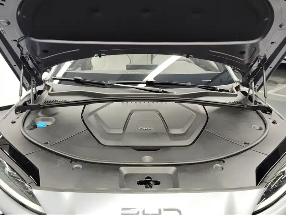 BYD PLUS New Energy 2024 из CN, фото 10