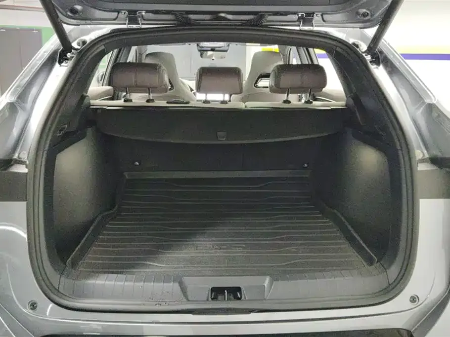 BYD PLUS New Energy 2024 из CN, фото 4