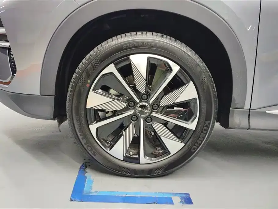 BYD PLUS New Energy 2024 из CN, фото 6