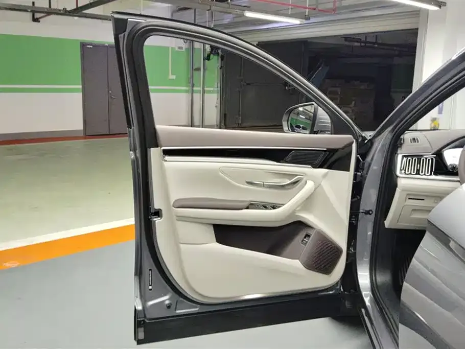 BYD PLUS New Energy 2024 из CN, фото 7