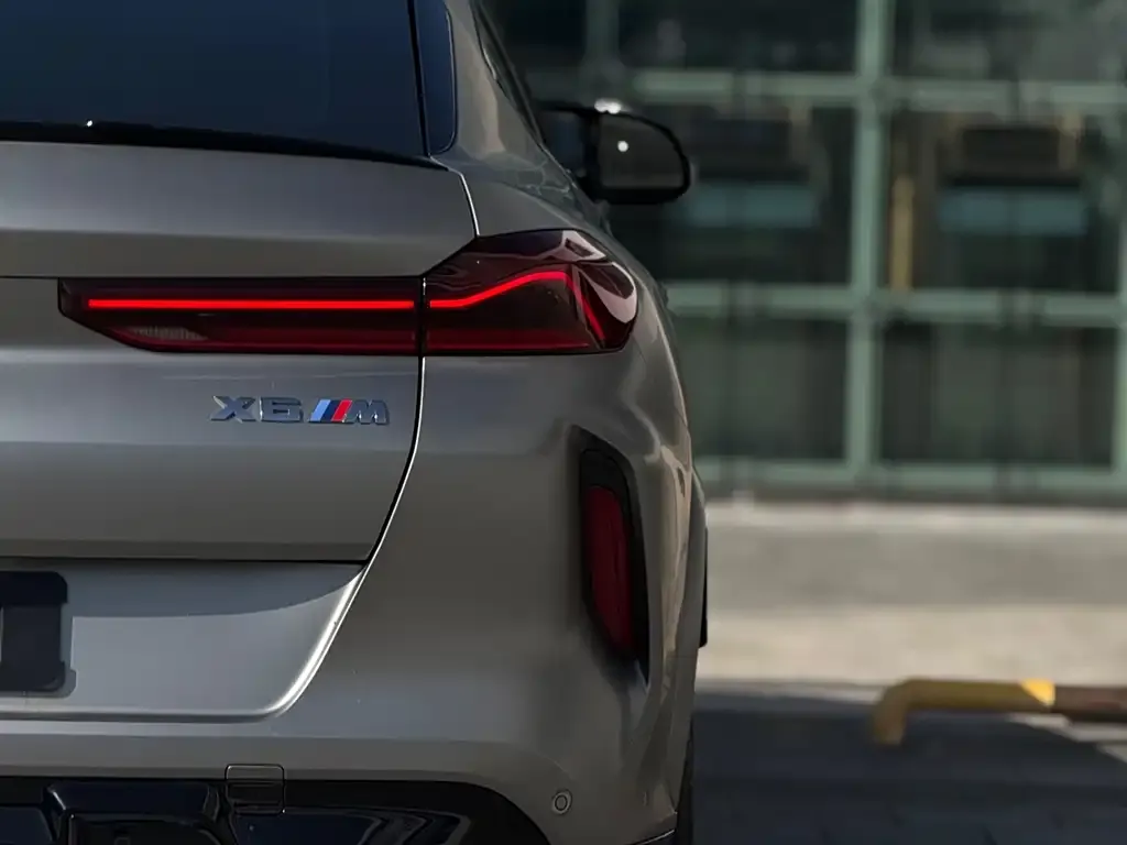 BMW X6 M 2022 из CN, фото 6