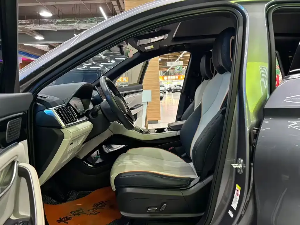 BYD PLUS New Energy 2024 из CN, фото 10