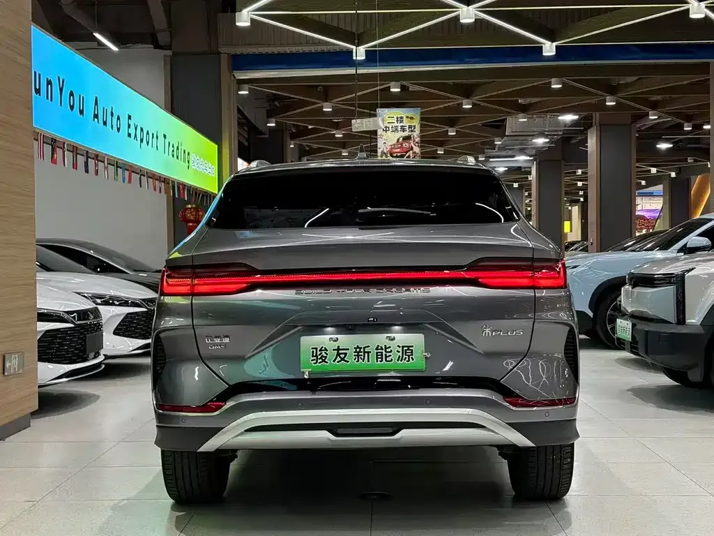 BYD PLUS New Energy 2024 из CN, фото 7