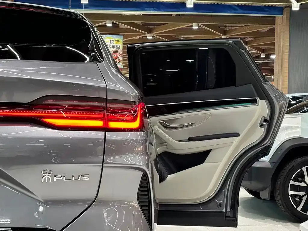 BYD PLUS New Energy 2024 из CN, фото 9