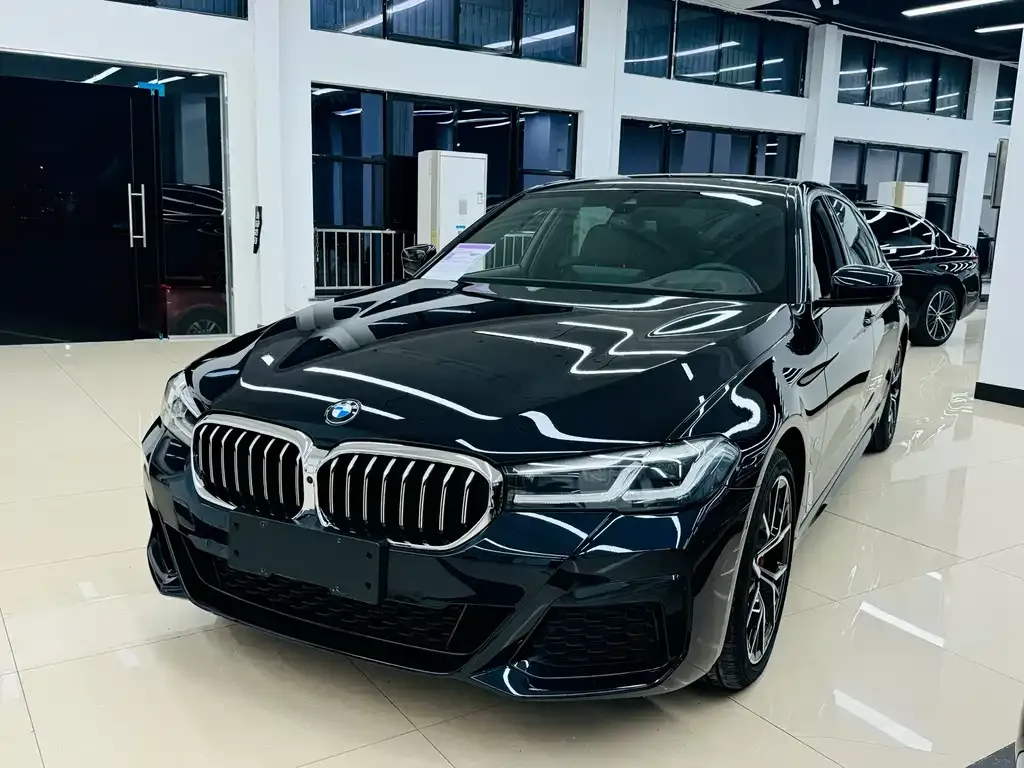 BMW 5 Series 2022 из CN, фото 1