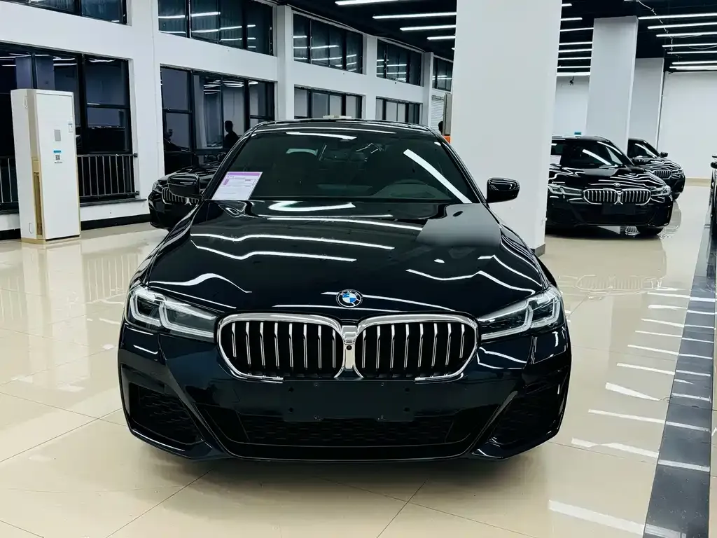 BMW 5 Series 2022 из CN, фото 2