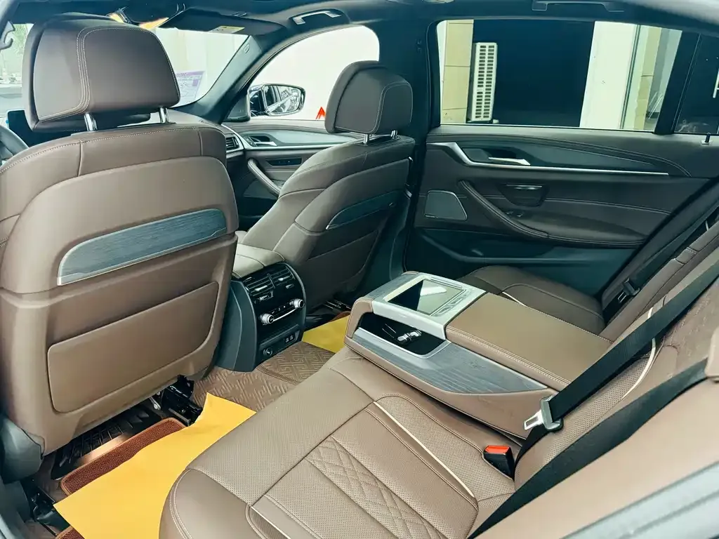 BMW 5 Series 2022 из CN, фото 4