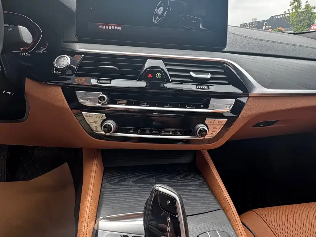 BMW 5 Series 2021 из CN, фото 10