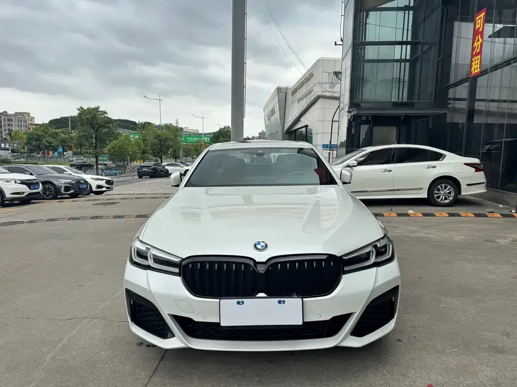 BMW 5 Series 2021 из CN, фото 2