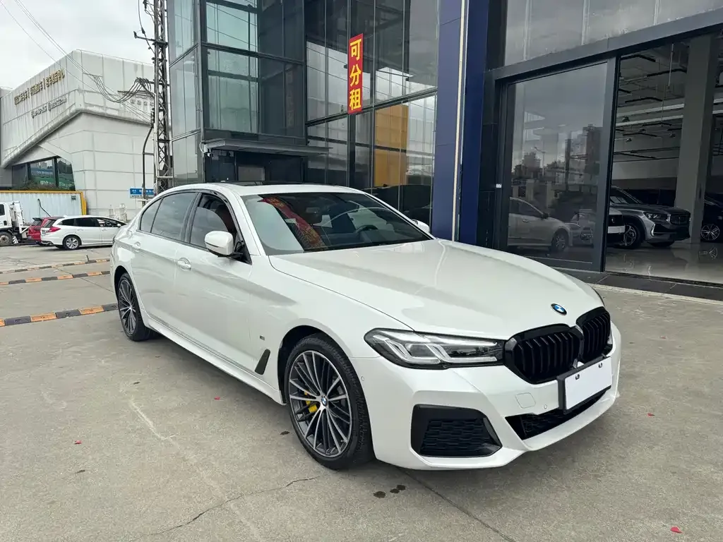 BMW 5 Series 2021 из CN, фото 3