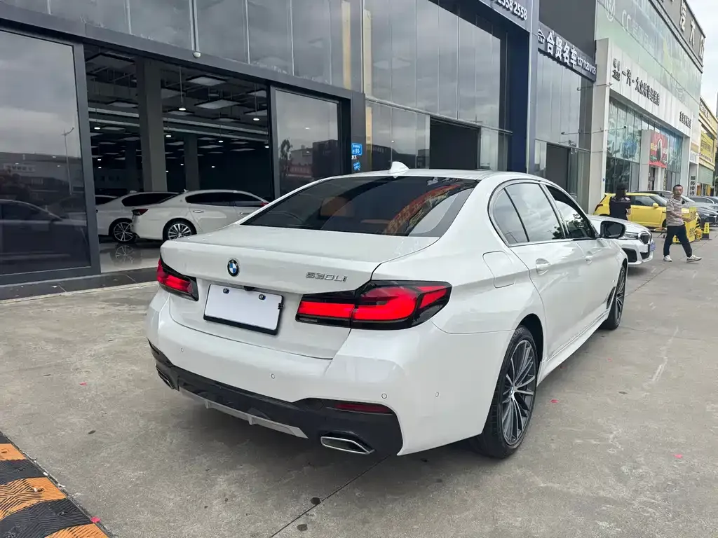 BMW 5 Series 2021 из CN, фото 4
