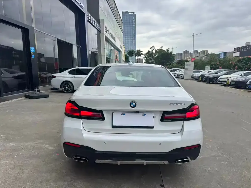 BMW 5 Series 2021 из CN, фото 5