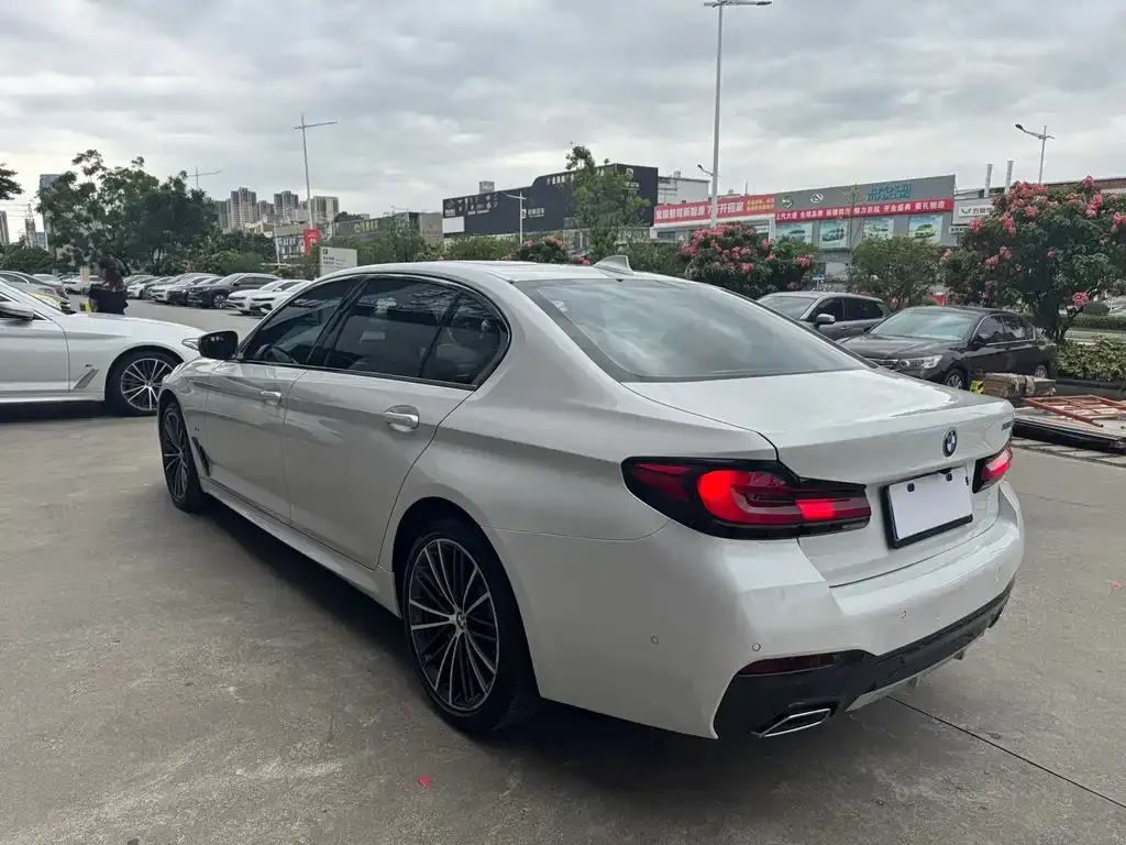 BMW 5 Series 2021 из CN, фото 6