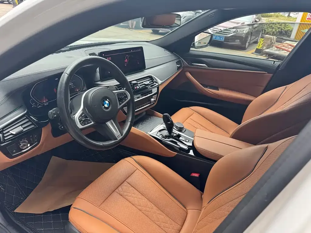 BMW 5 Series 2021 из CN, фото 7