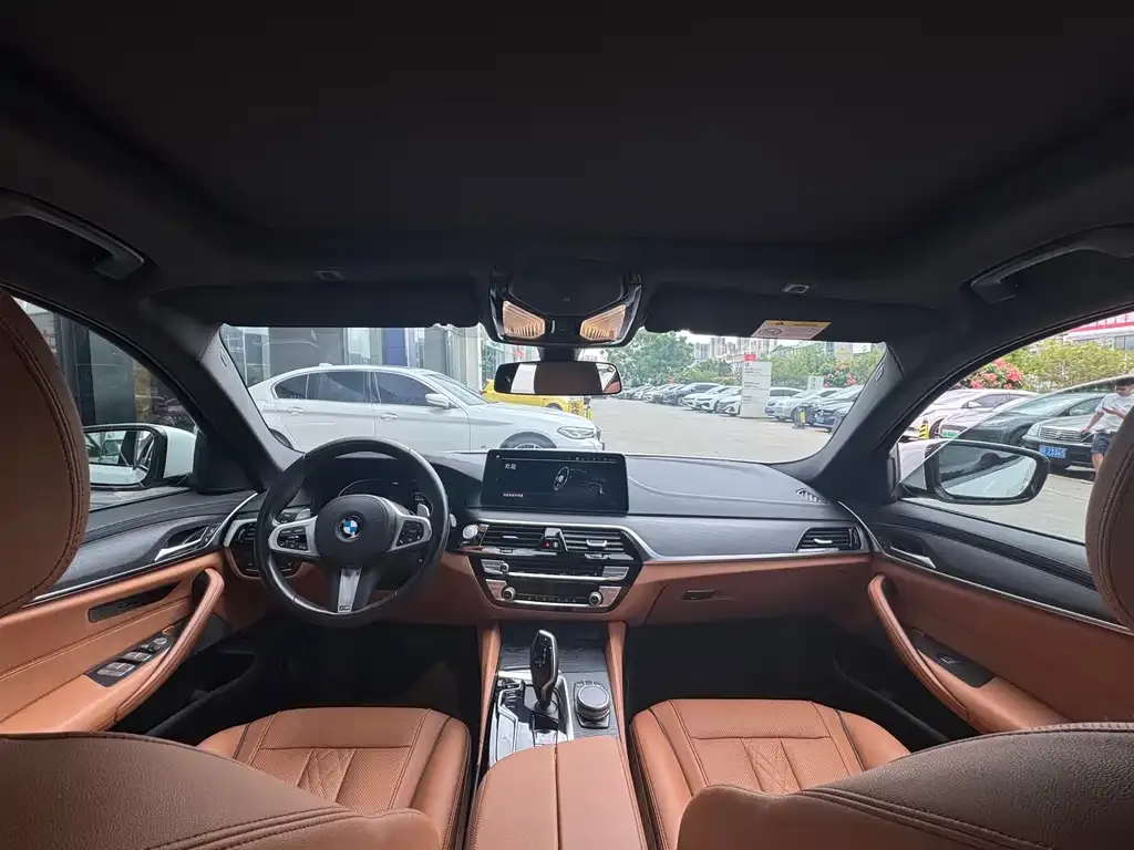 BMW 5 Series 2021 из CN, фото 9
