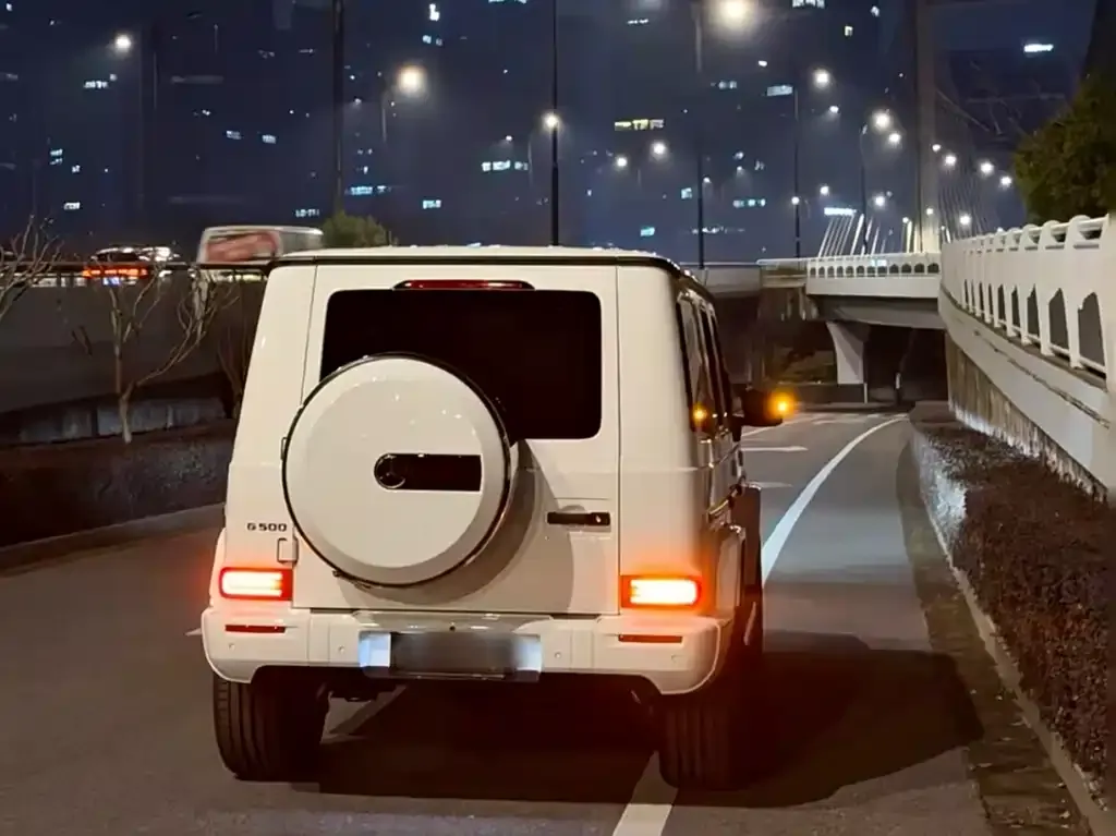 Mercedes-Benz G-Class 2022 из CN, фото 3
