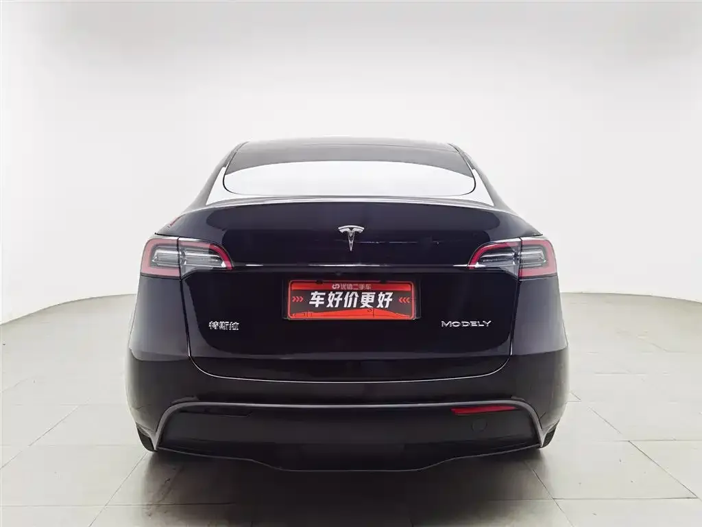 Tesla Model Y 2022 из CN, фото 4