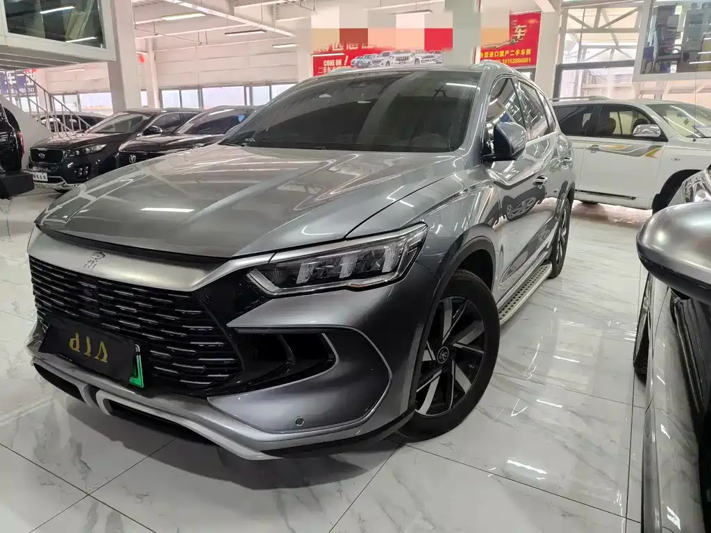 BYD Pro New Energy 2024 из CN, фото 1