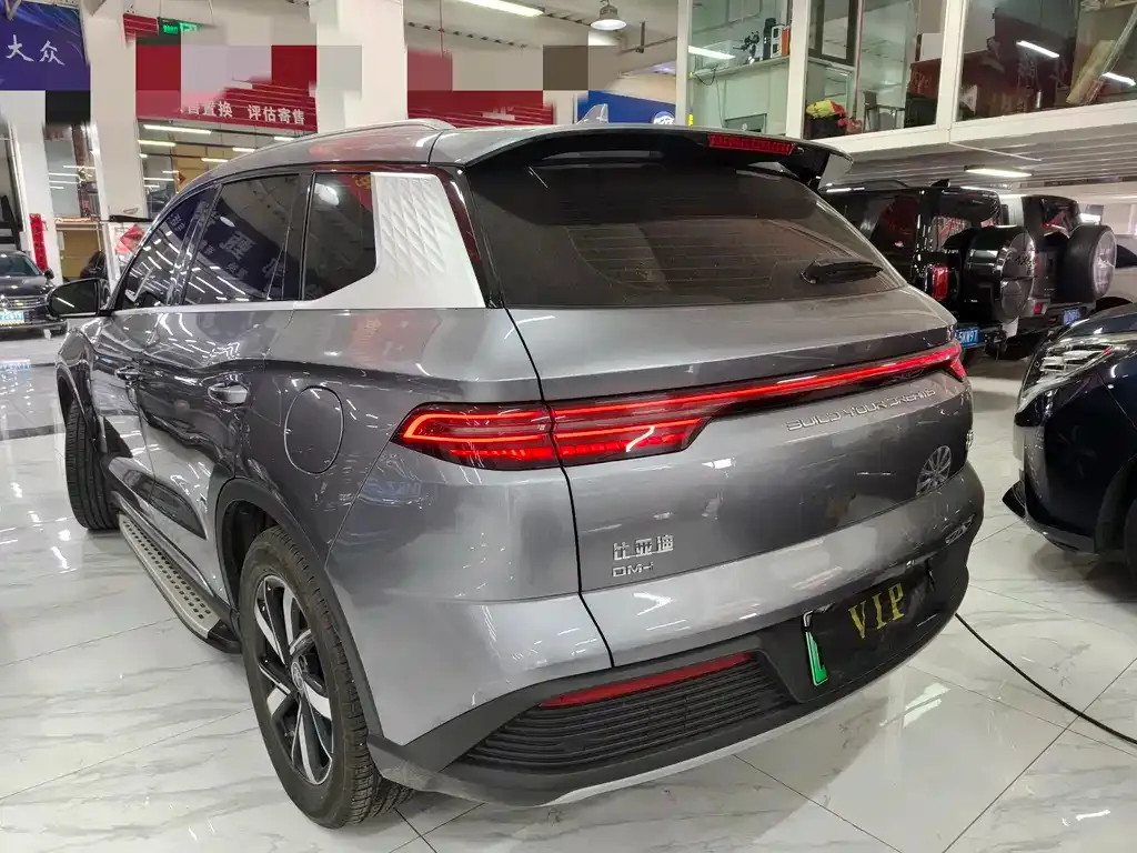 BYD Pro New Energy 2024 из CN, фото 10