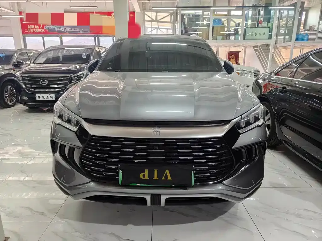 BYD Pro New Energy 2024 из CN, фото 2