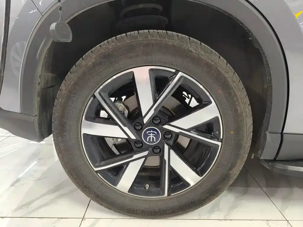 BYD Pro New Energy 2024 из CN, фото 4