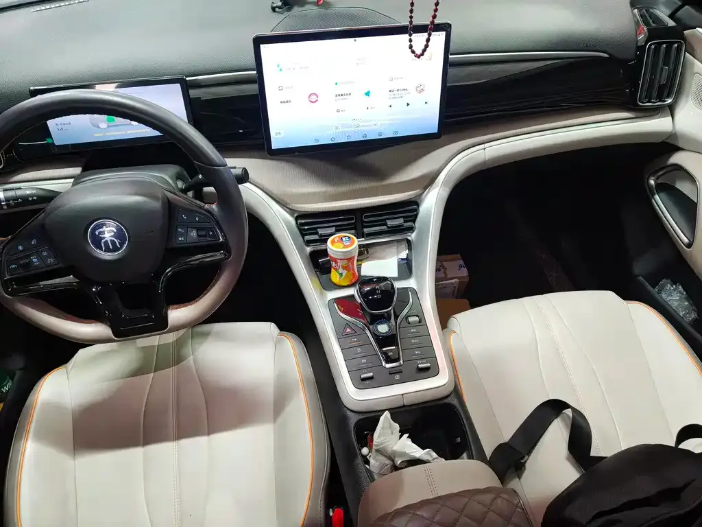 BYD Pro New Energy 2024 из CN, фото 8