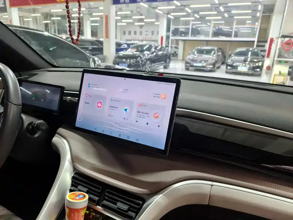 BYD Pro New Energy 2024 из CN, фото 9
