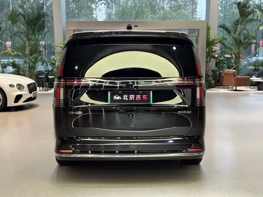 Volvo EM90 2025 из CN, фото 6